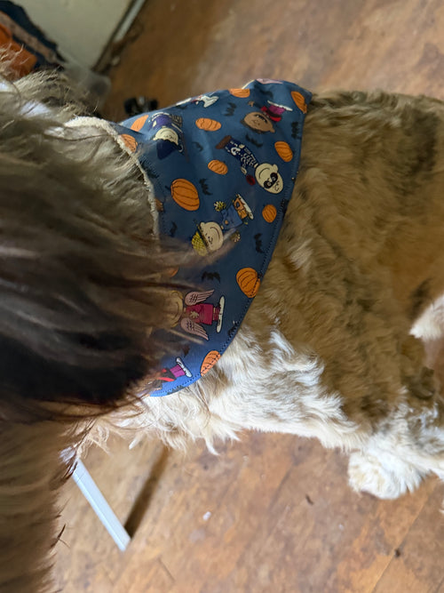 Charlie Brown Fall/Halloween bandana